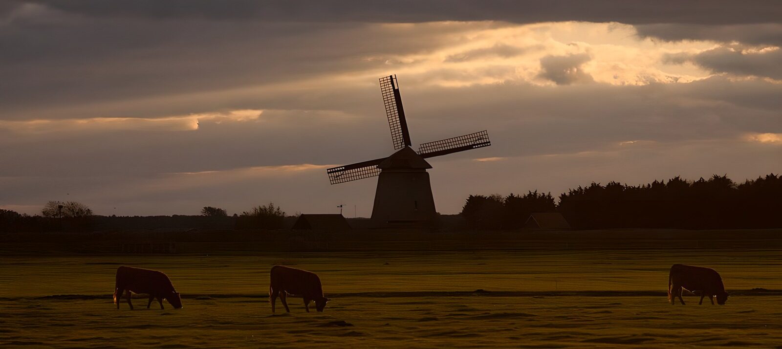 OCUK49346: Countryside Serenity at Dusk