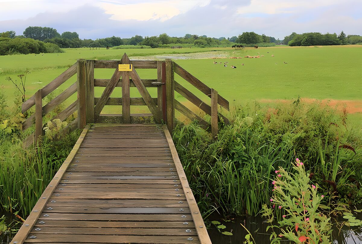 Small bridge over a ditch with fence to meadow 1