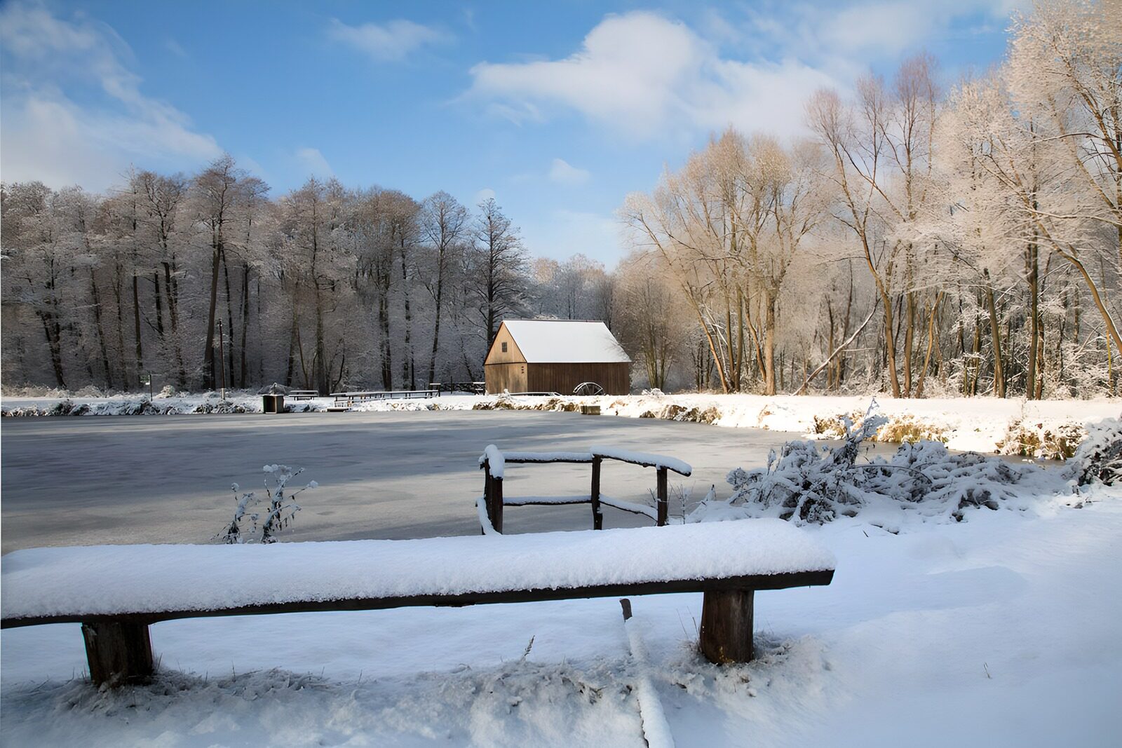 OCUK37036: Winter Peace by the Frozen Pond