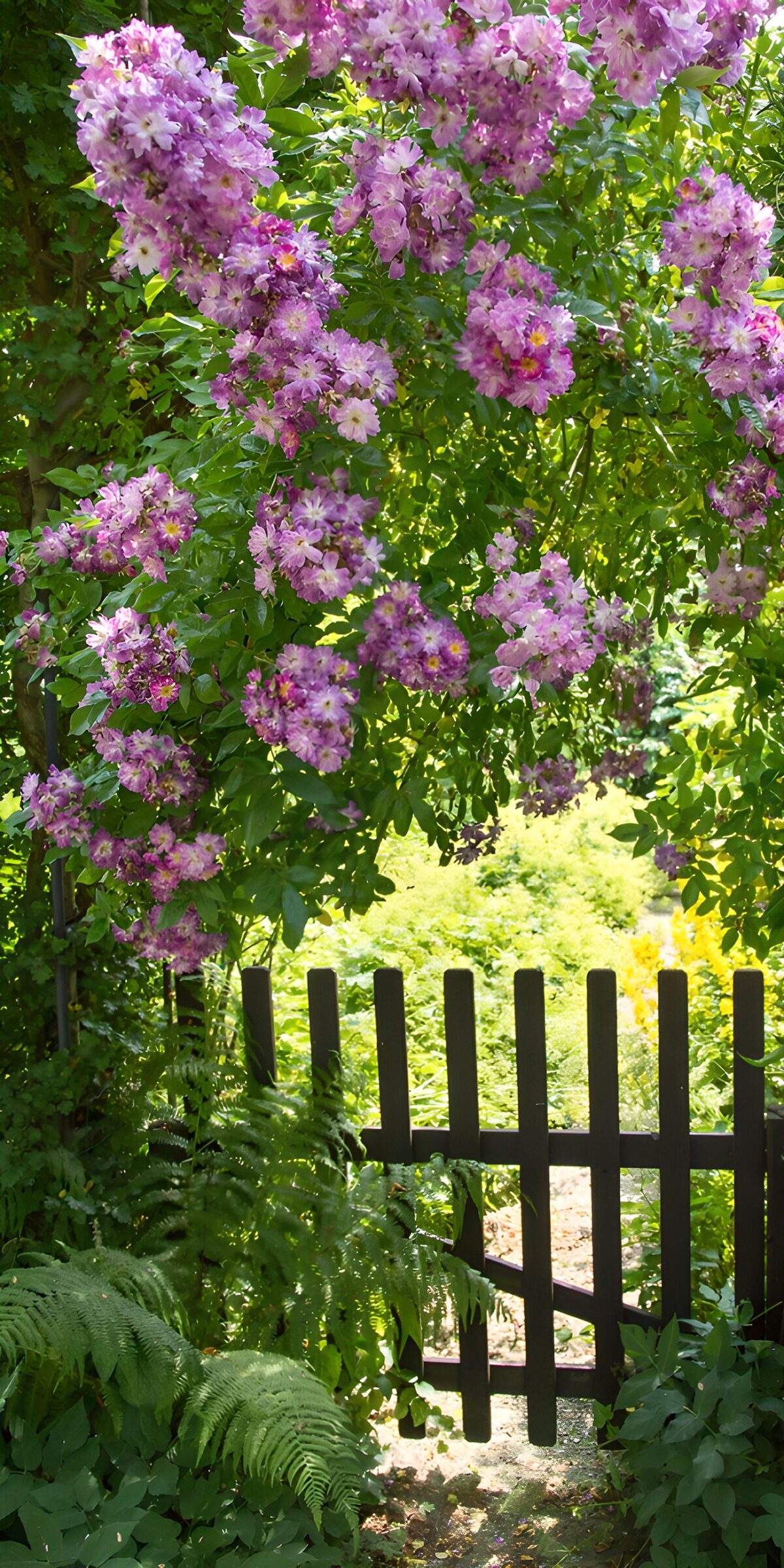 OCUK16396: Enchanted Floral Gateway