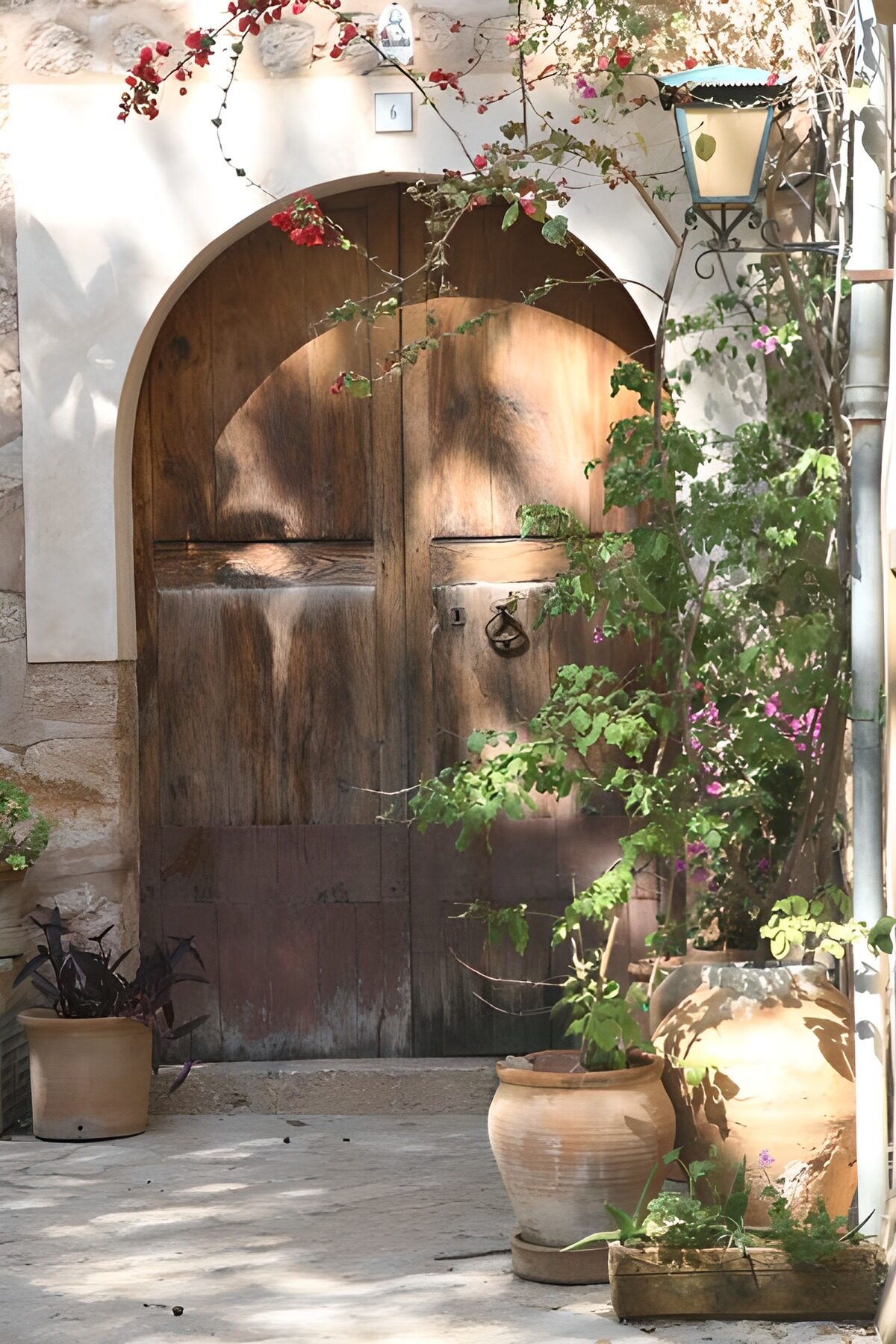 OCUK68184: Large door with lantern and plants and pots 1