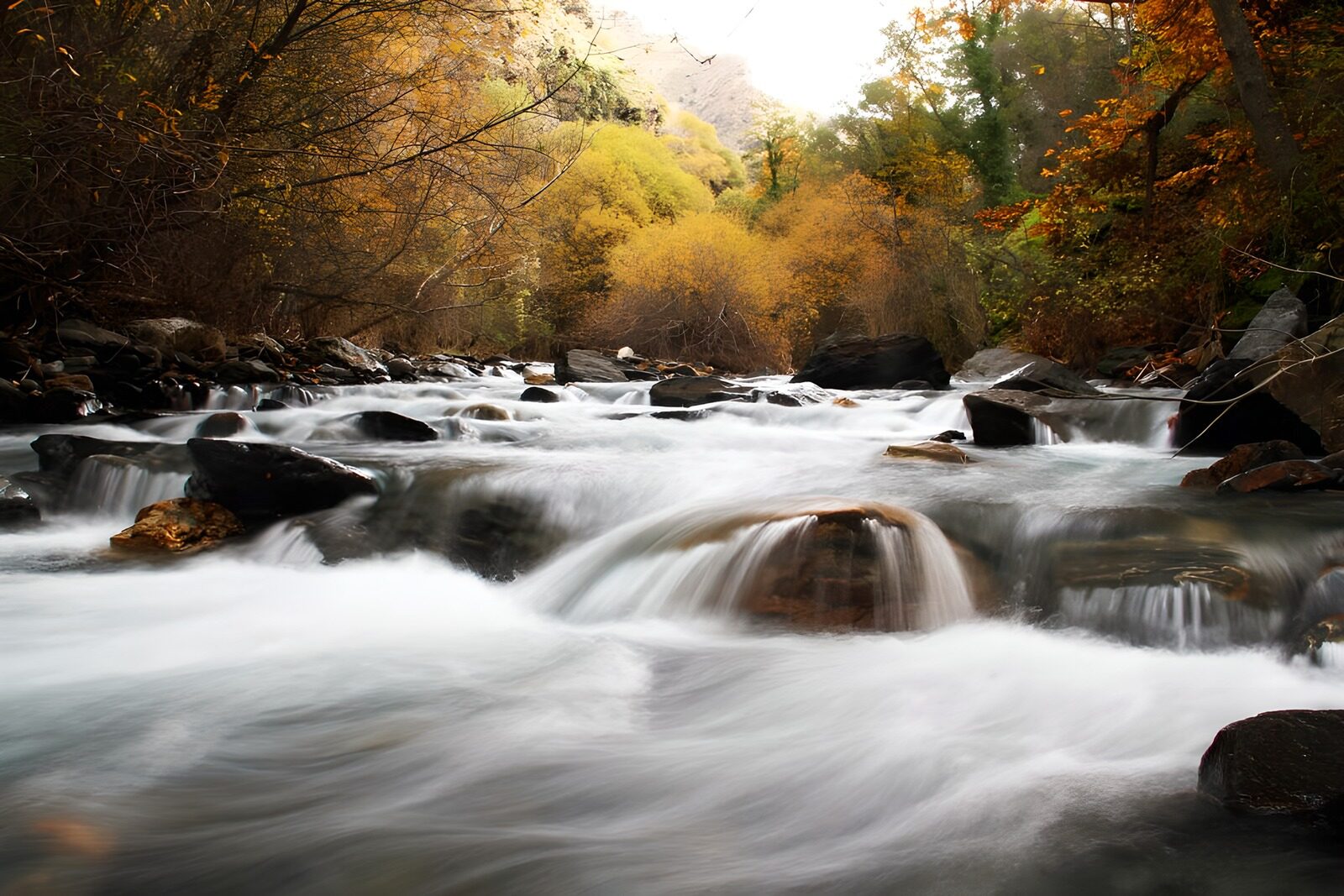 OCUK15735: Serene Stream in Autumn Colors