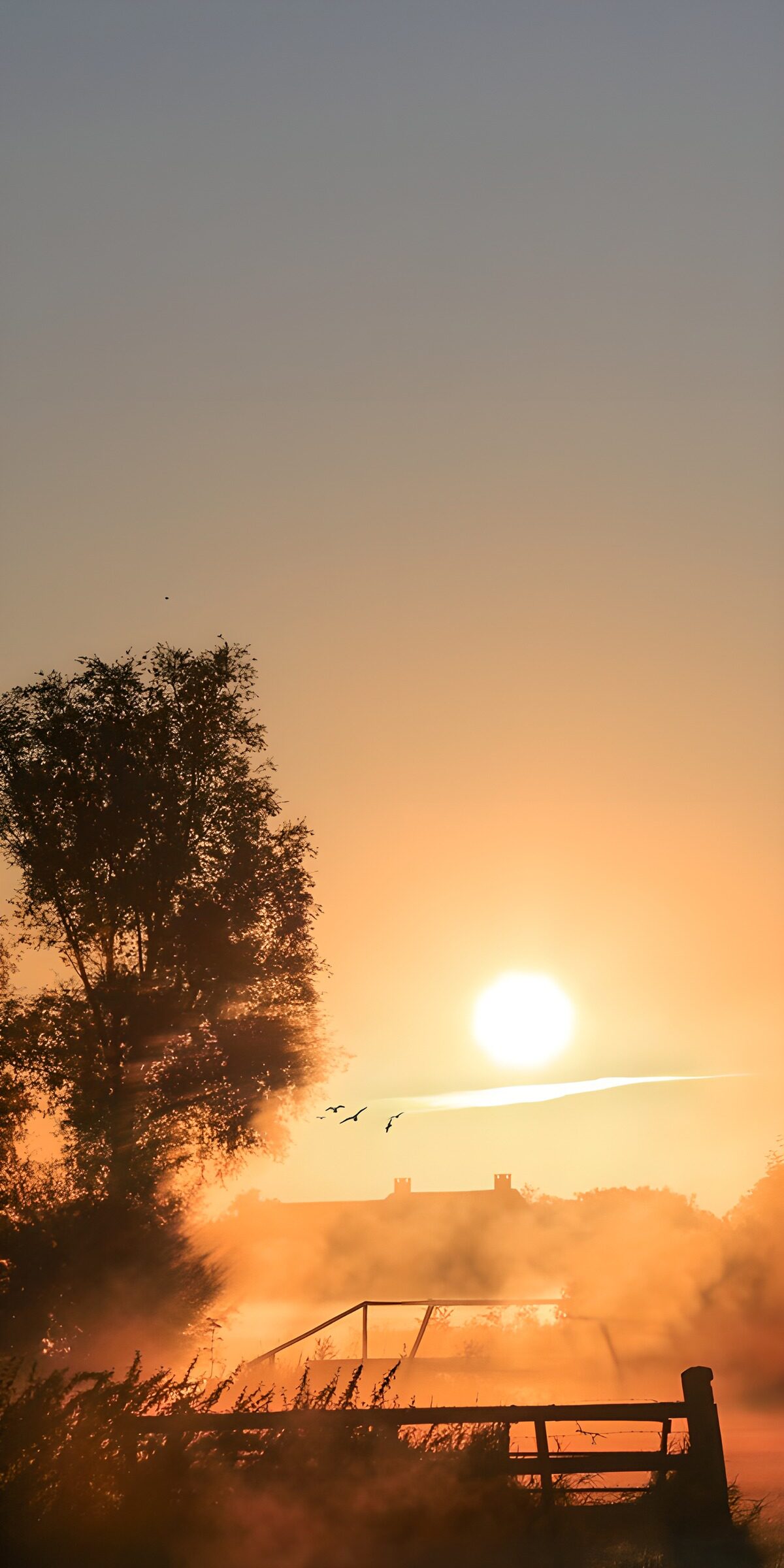 OCUK43241: Serene Sunrise Over Misty Waters