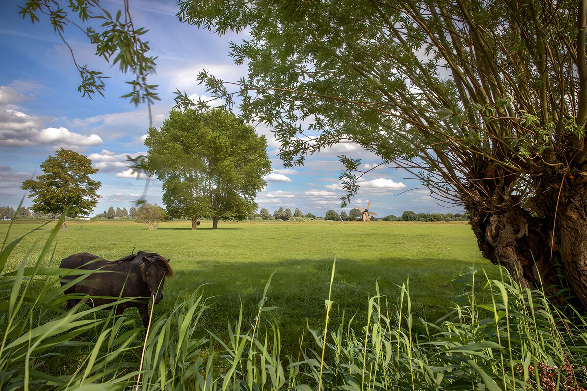 OCUK36719: Tranquil Countryside Scene