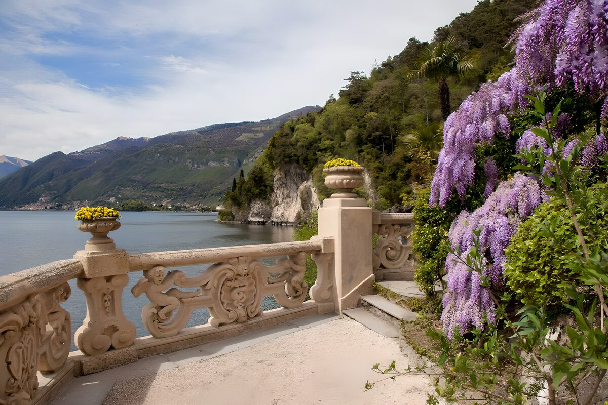 OCUK78277: Scenic Lakeside View with Wisteria