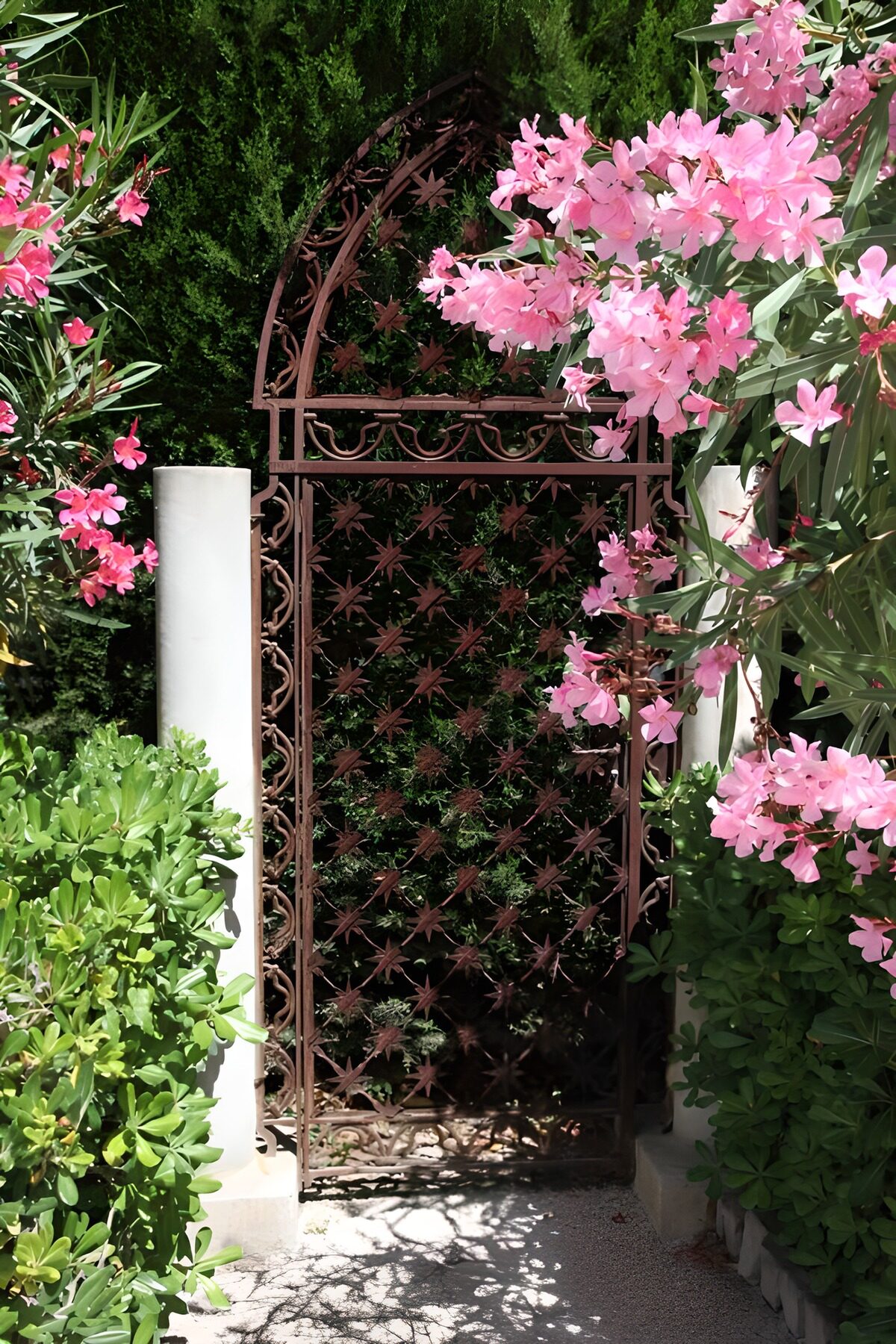 OCUK22915: Enchanted Floral Gate