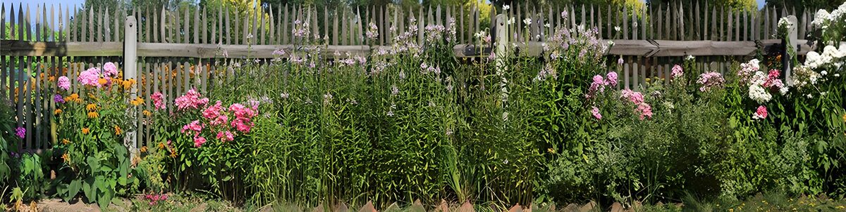 OCUK39287: Vibrant Garden in Bloom