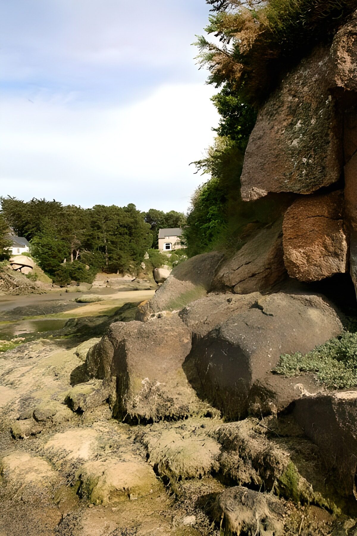 OCUK82003: View past the rocks with algae and foliage