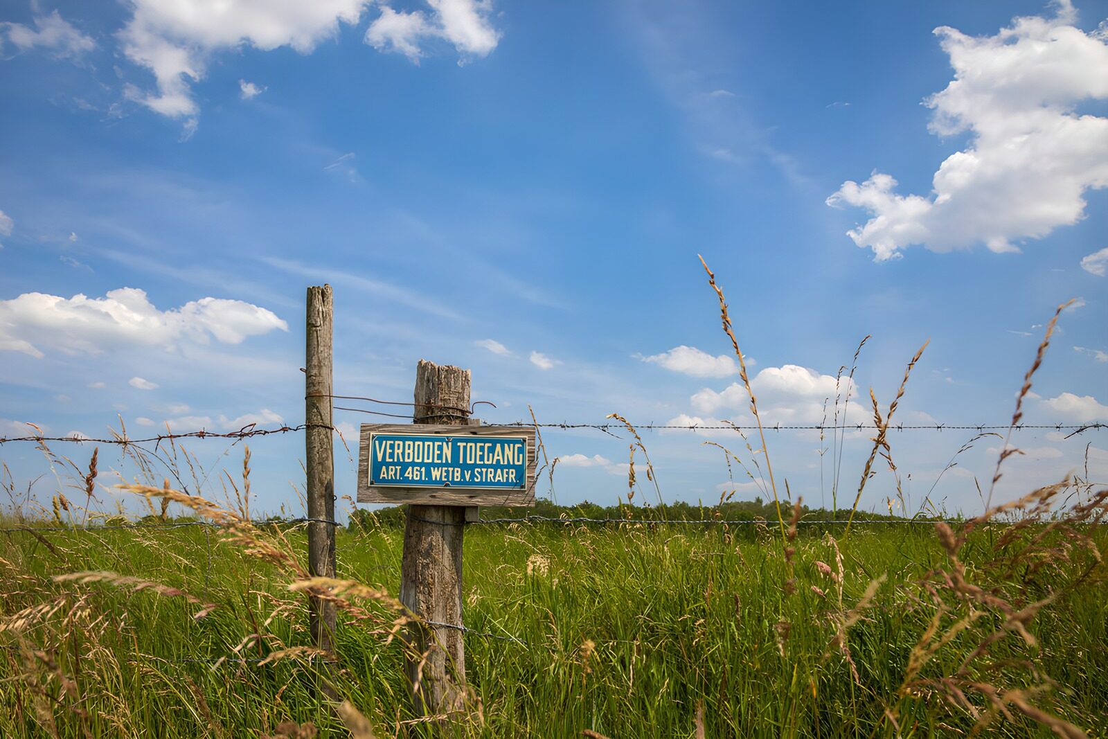 OCUK69228: No Access Sign in Lush Field