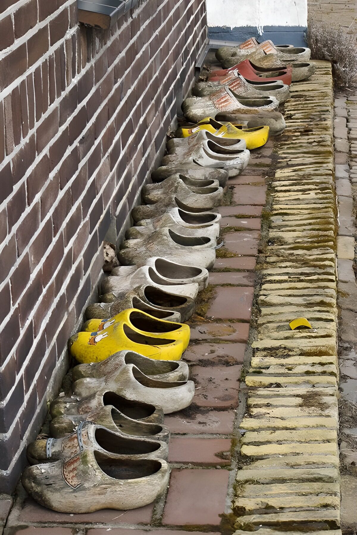 OCUK53157: Colorful Dutch Clogs by the Wall