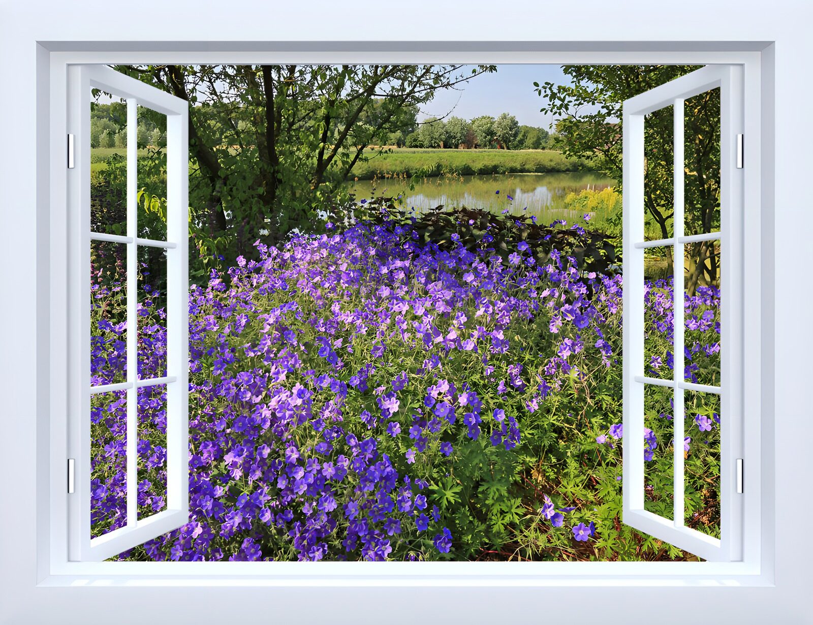 OCUK36071: Vibrant Flower View from a Window
