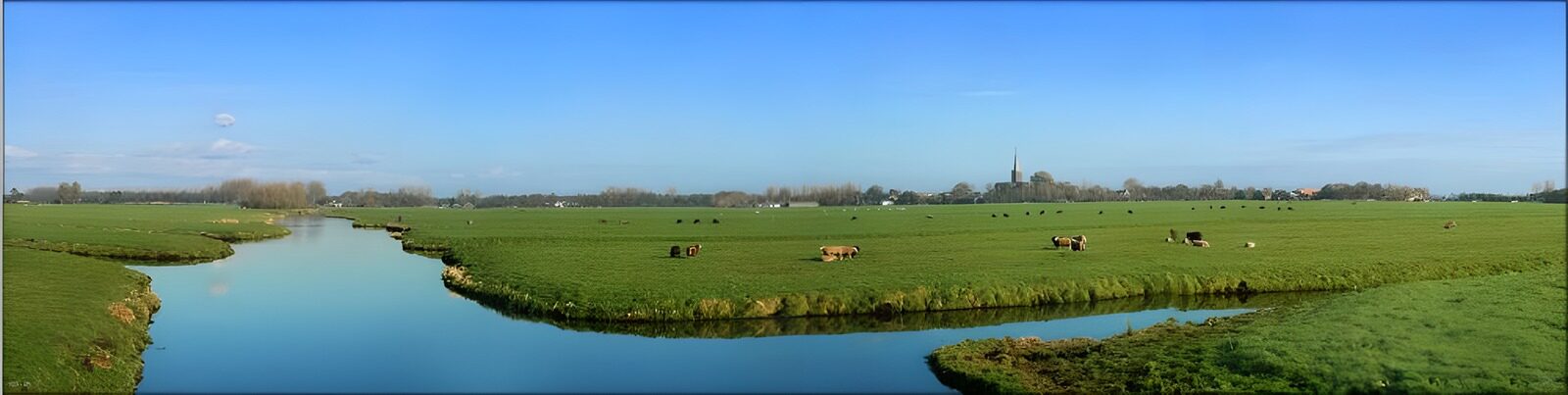 OCUK74326: Dutch meadow landscapes 11
