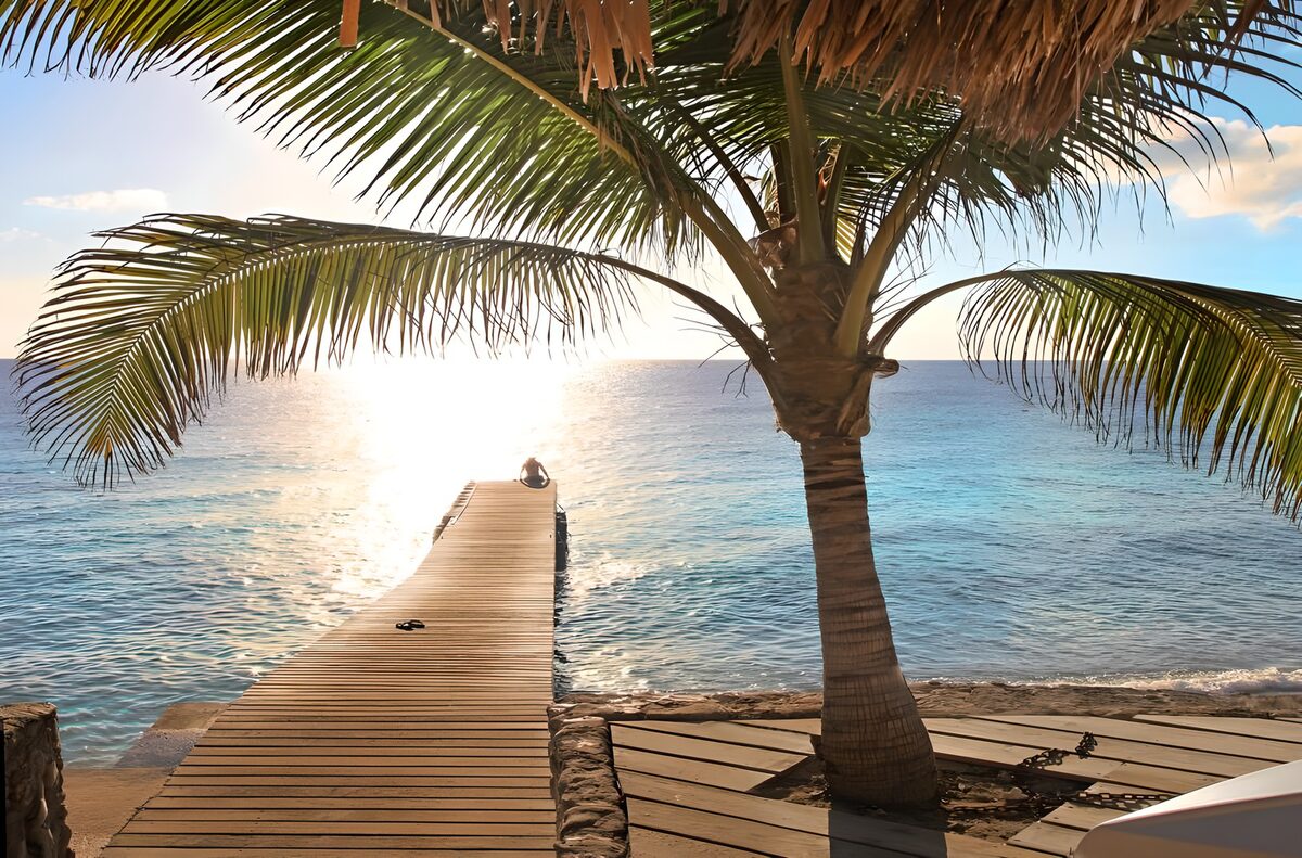 OCUK30202: Jetty in sea with palmtree version 2