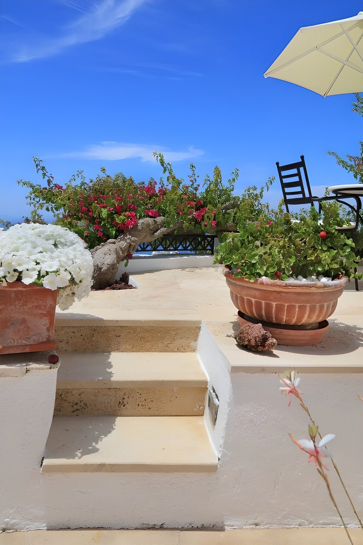 OCUK35544: Serene Garden Steps