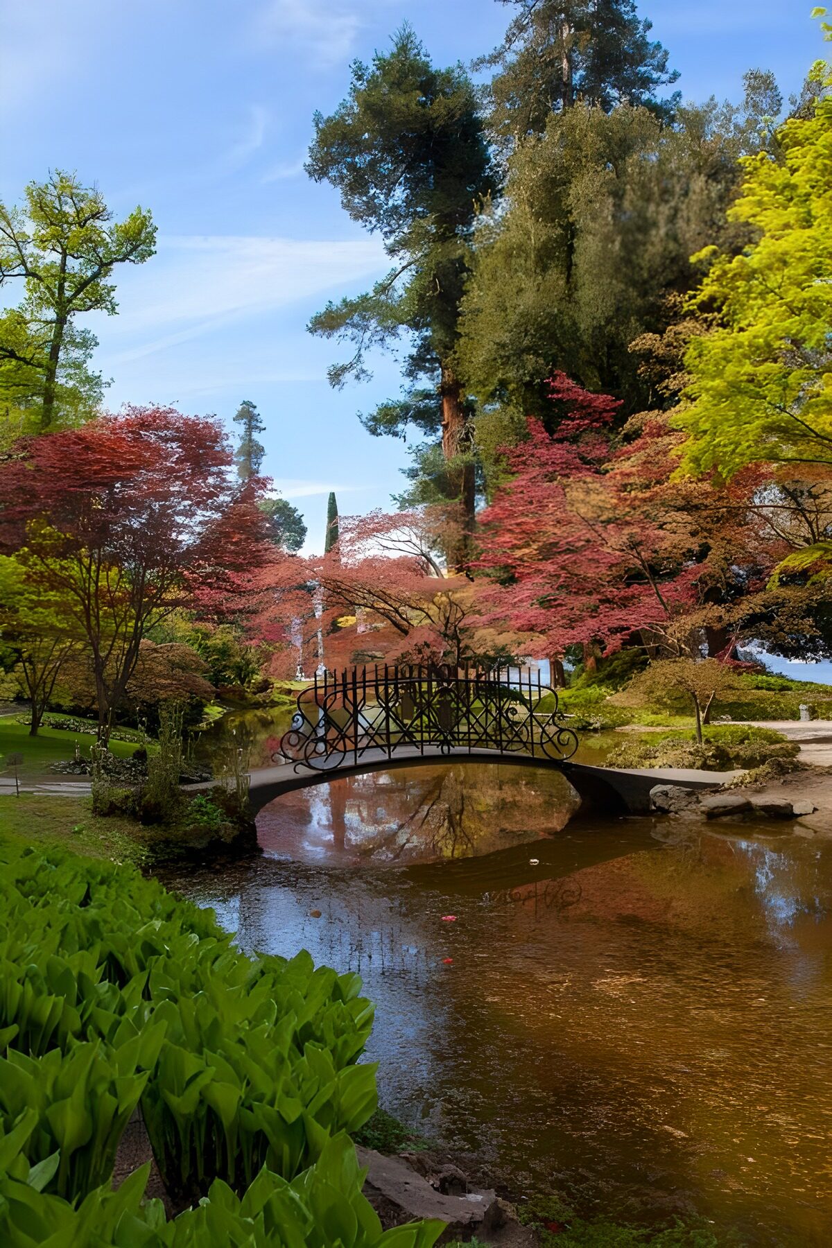 OCUK86386: Japanese garden with a small bridge