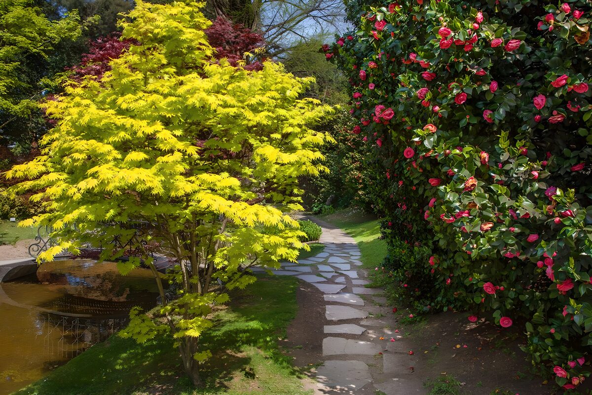 Stone pathway in botanical garden