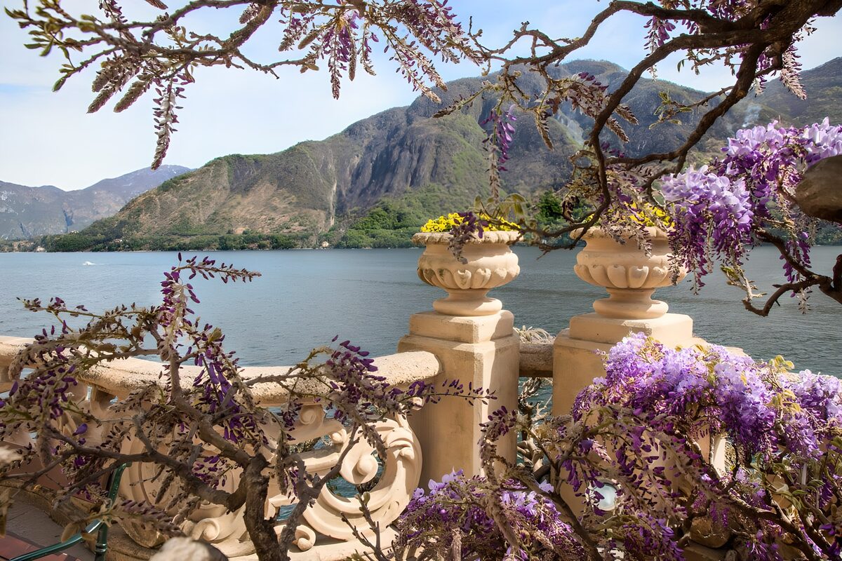 OCUK16006: Serene Lakeside View with Blossoms