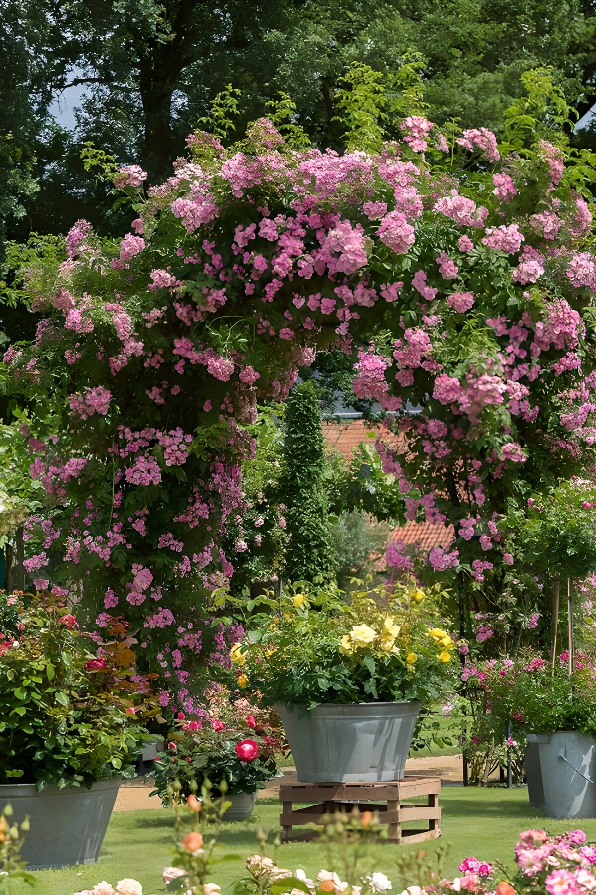 OCUK41030: Garden with beautiful flowers