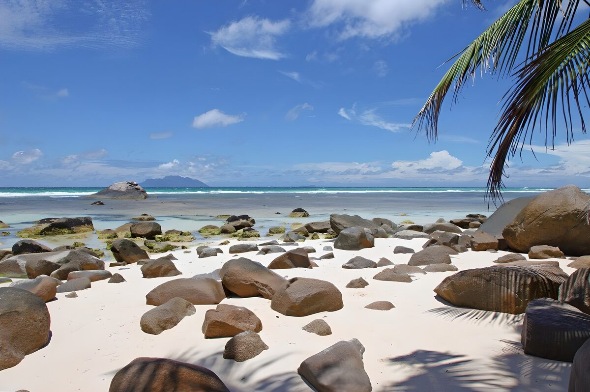 OCUK21512: Tranquil Beach View with Rocks and Palm