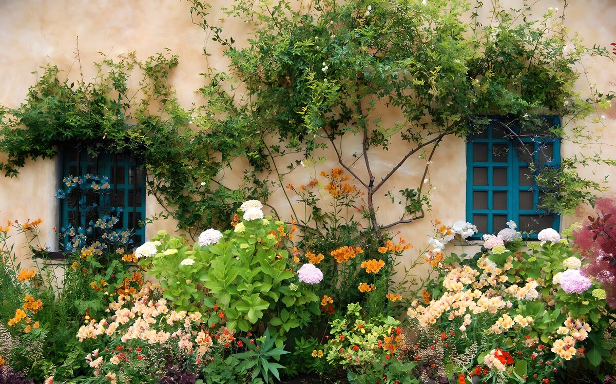 OCUK19114: Wall with flowers and blue windows