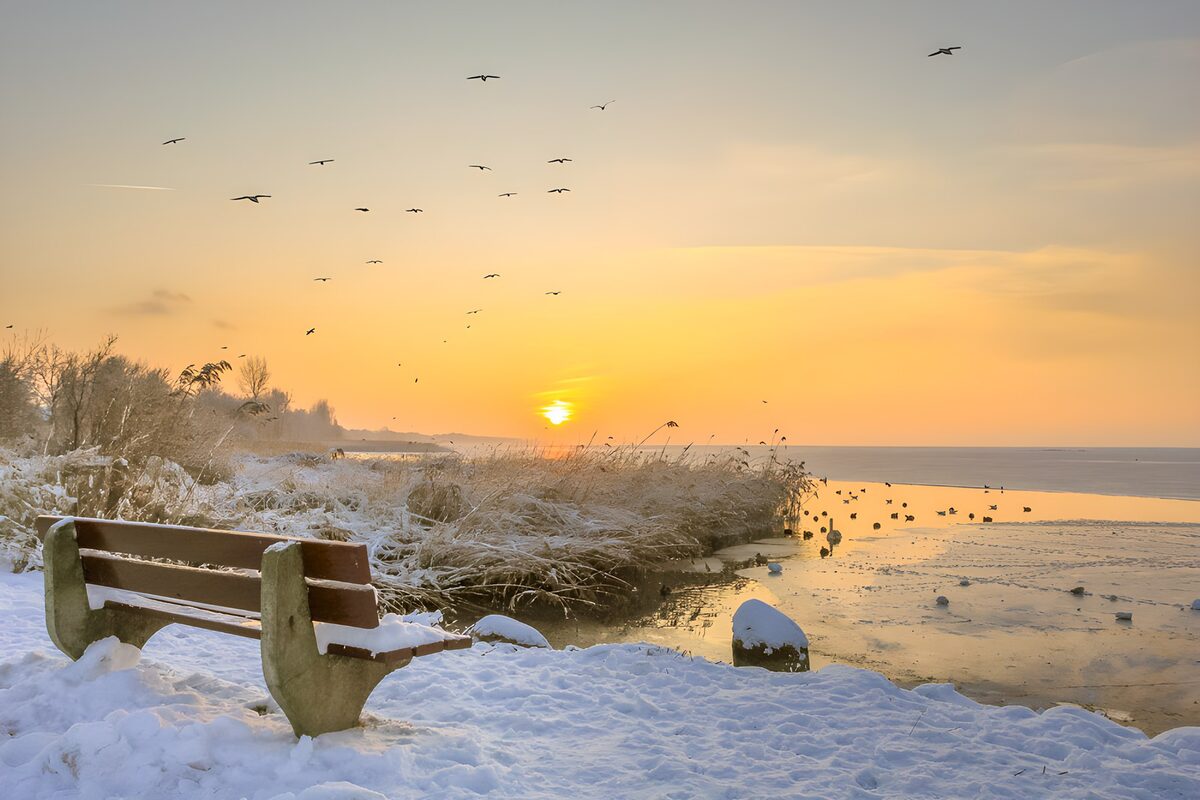 Tranquil Winter Sunrise