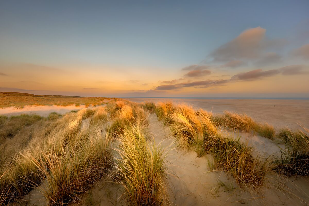 Serene Dunes at Twilight