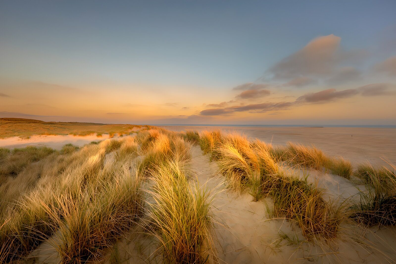 OCUK95722: Serene Dunes at Twilight