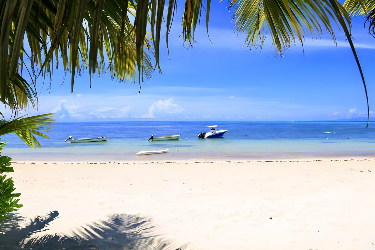 OCUK20081: Tropical Beach with Boats