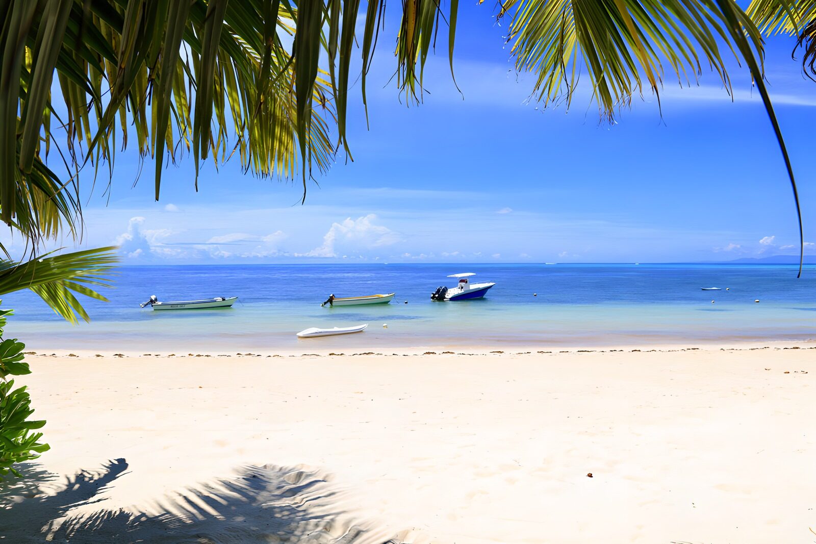 OCUK20081: Tropical Beach with Boats