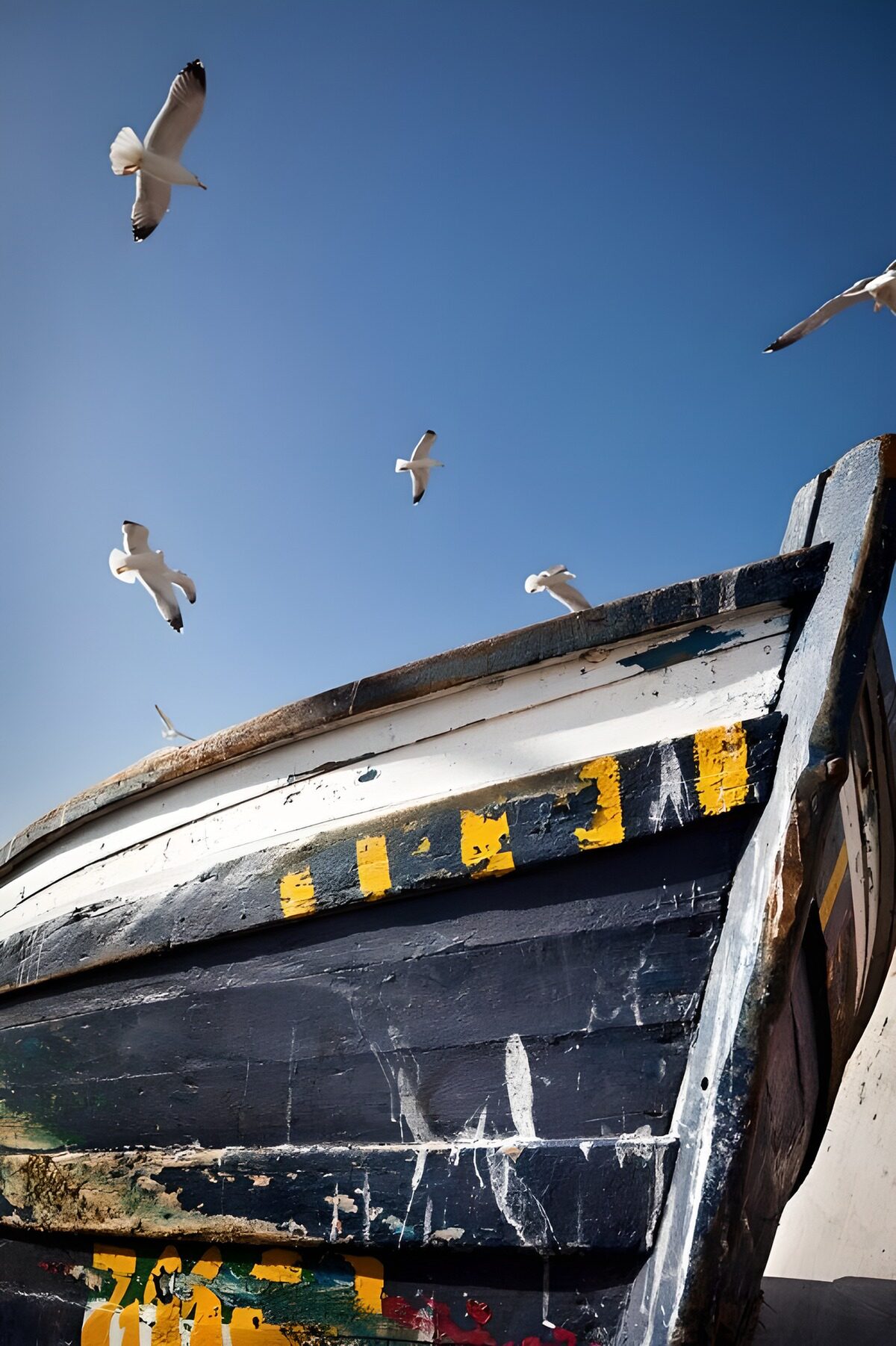 OCUK37024: Seagulls Over a Weathered Fishing Boat