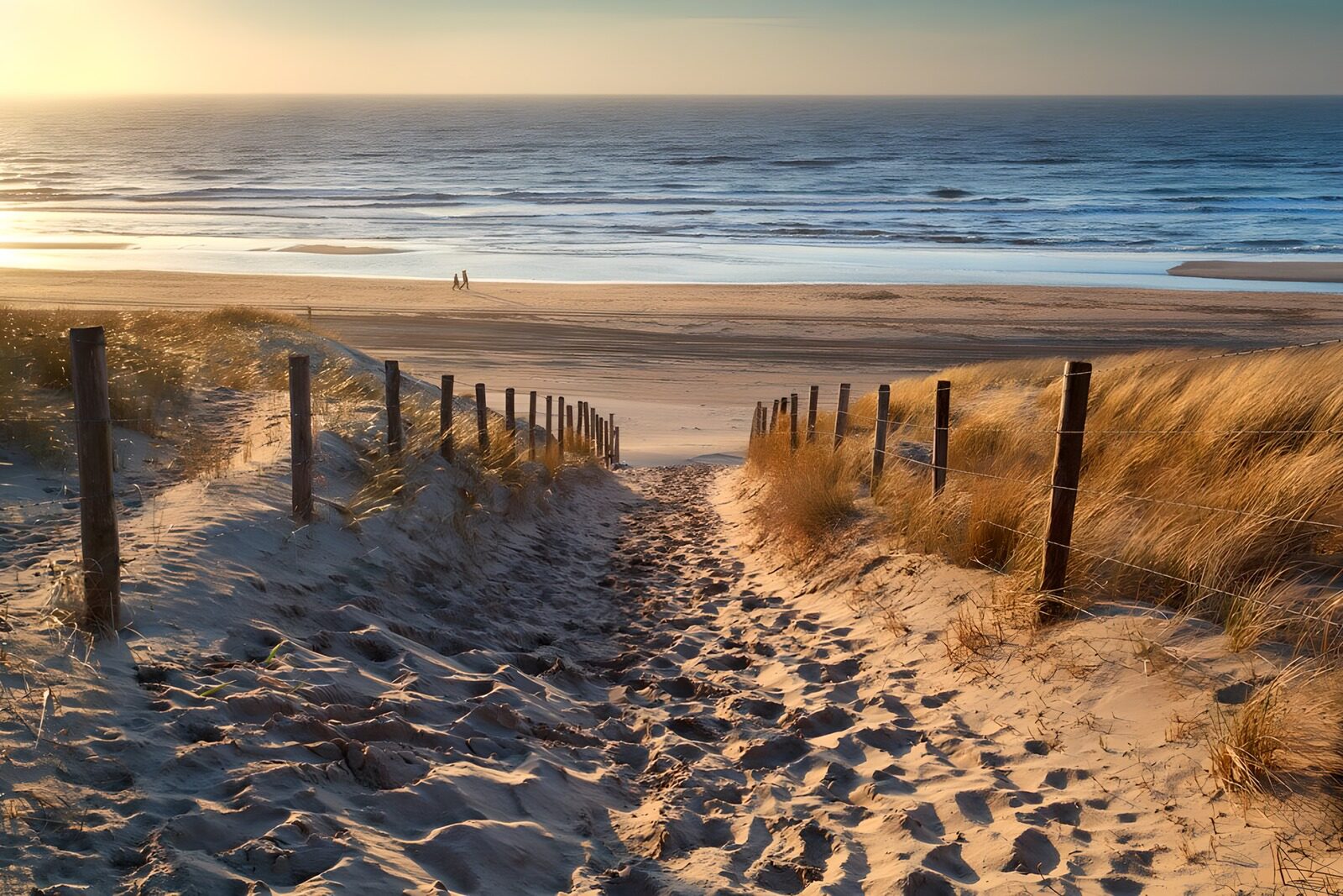 OCUK23535: Serene Beach Pathway at Sunset