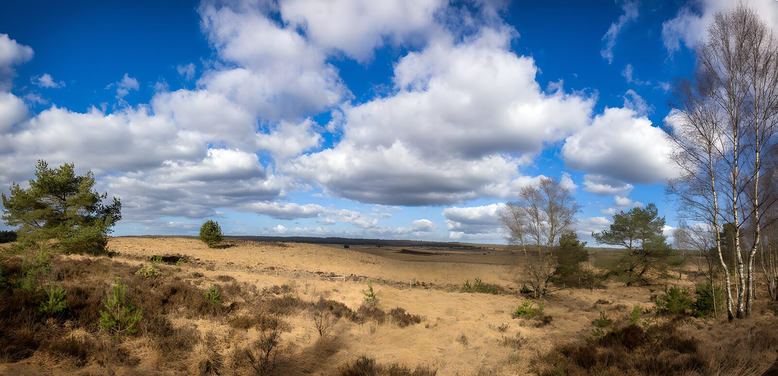 OCUK38074: Serene Landscape Under a Blue Sky