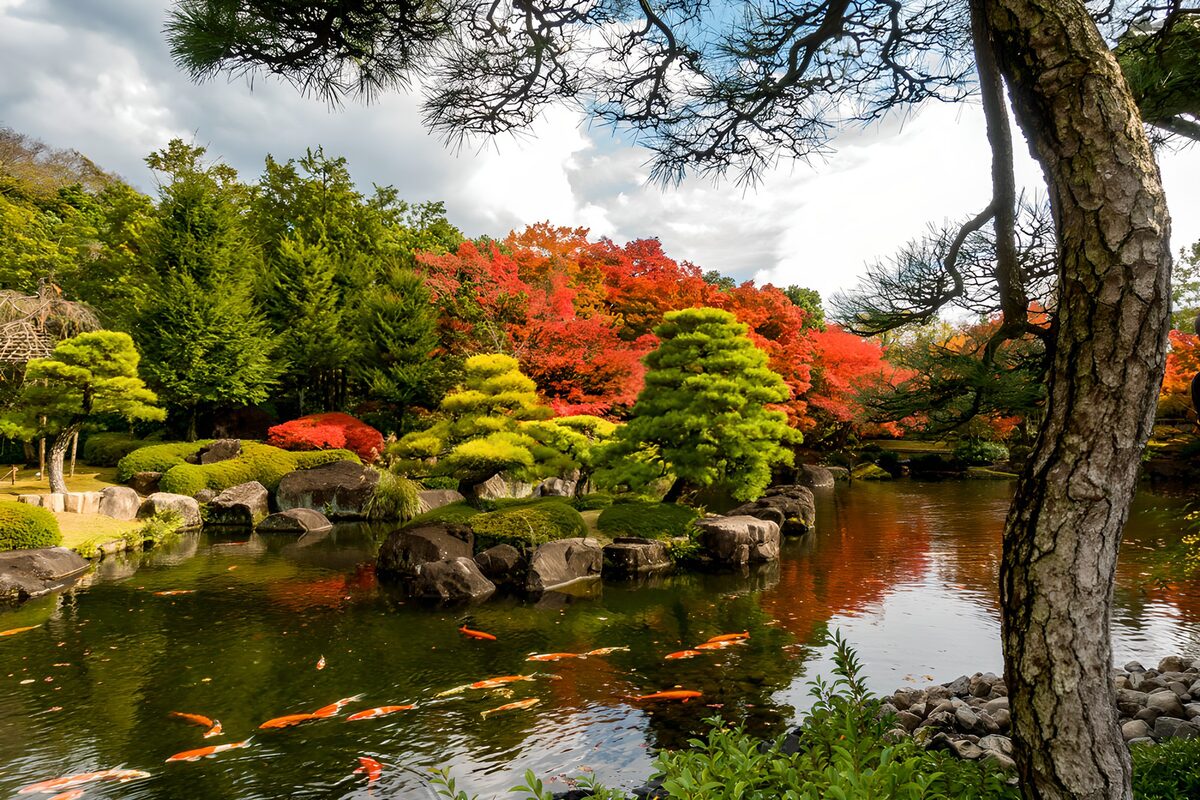 Tranquil Autumn Landscape in a Japanese Garden