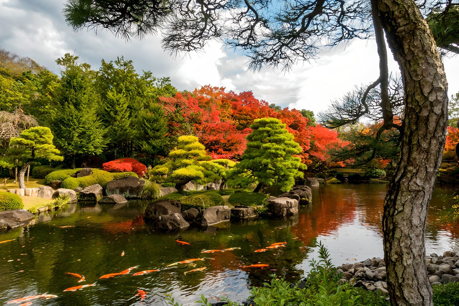 OCUK70910: Tranquil Autumn Landscape in a Japanese Garden