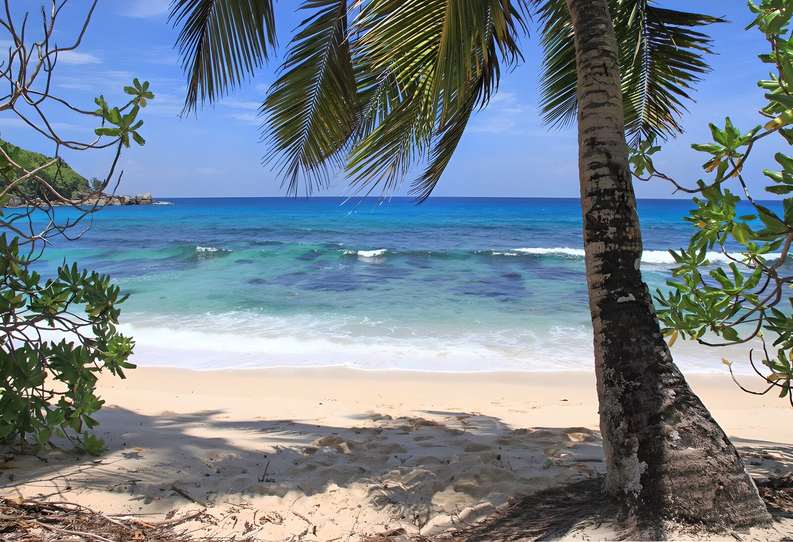 OCUK13977: Tropical Paradise Beach Scene
