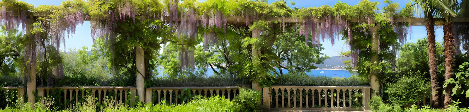 OCUK22793: Serene Garden View with Wisteria