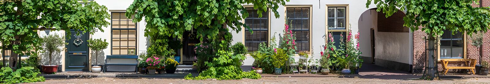 OCUK21844: Charming Garden Street Facade