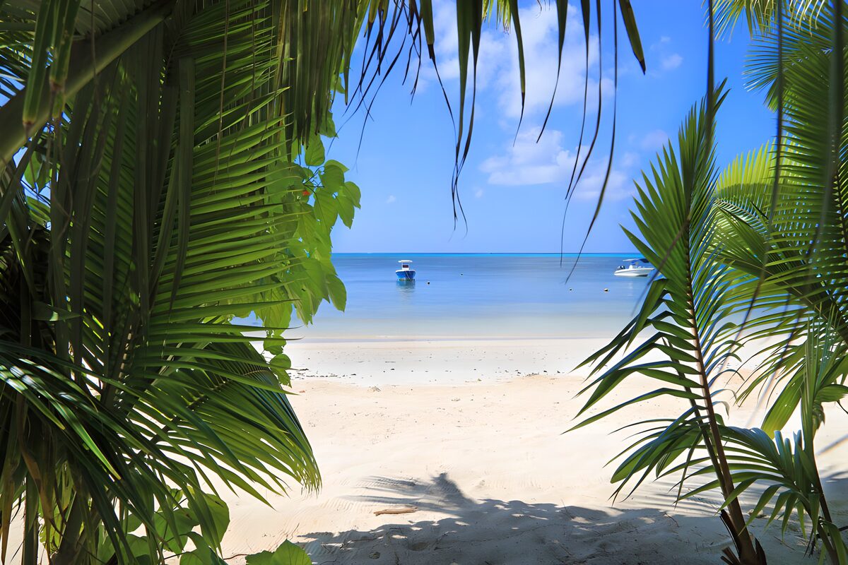OCUK16838: Tropical Paradise View