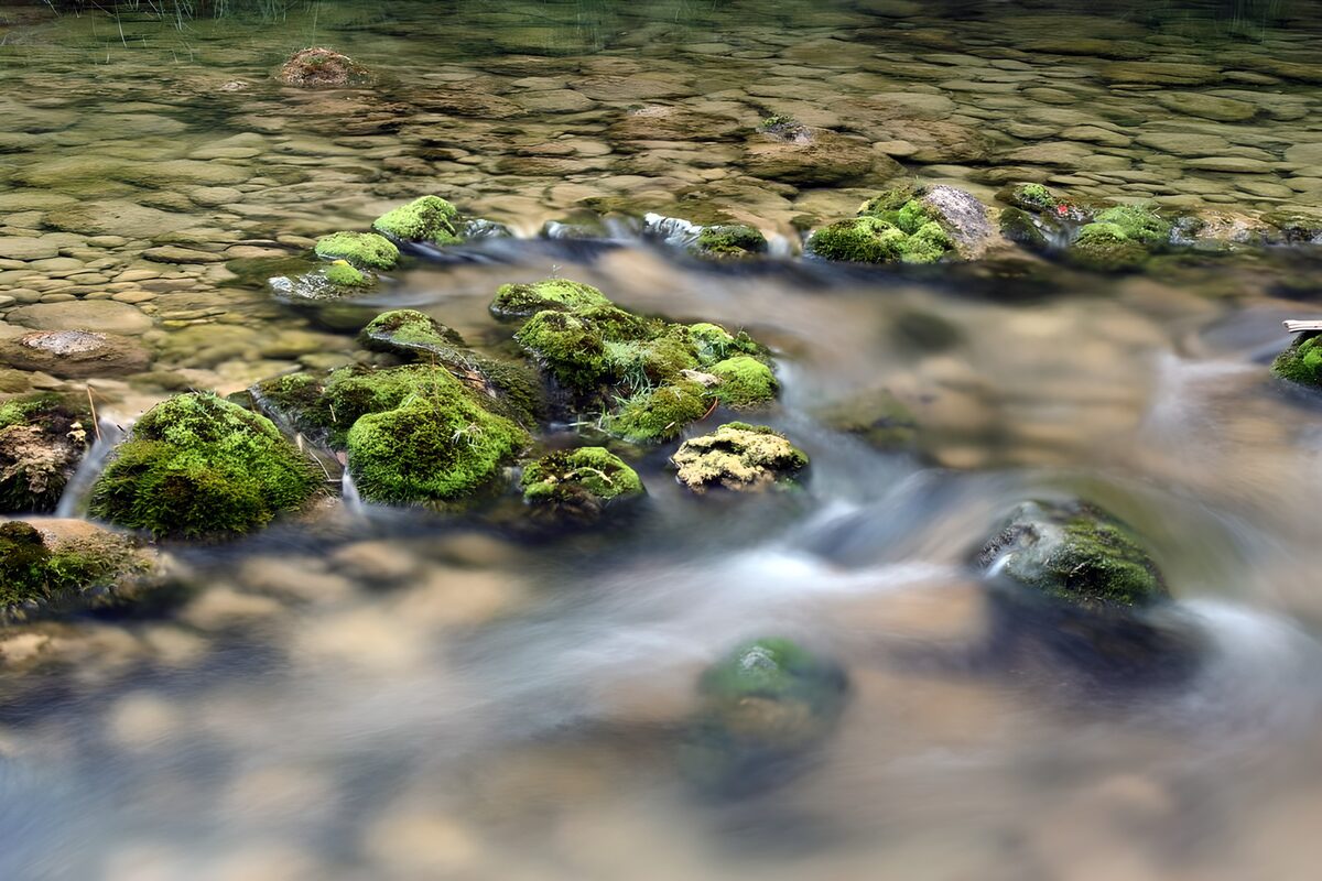OCUK94407: Serene Stream Over Mossy Rocks