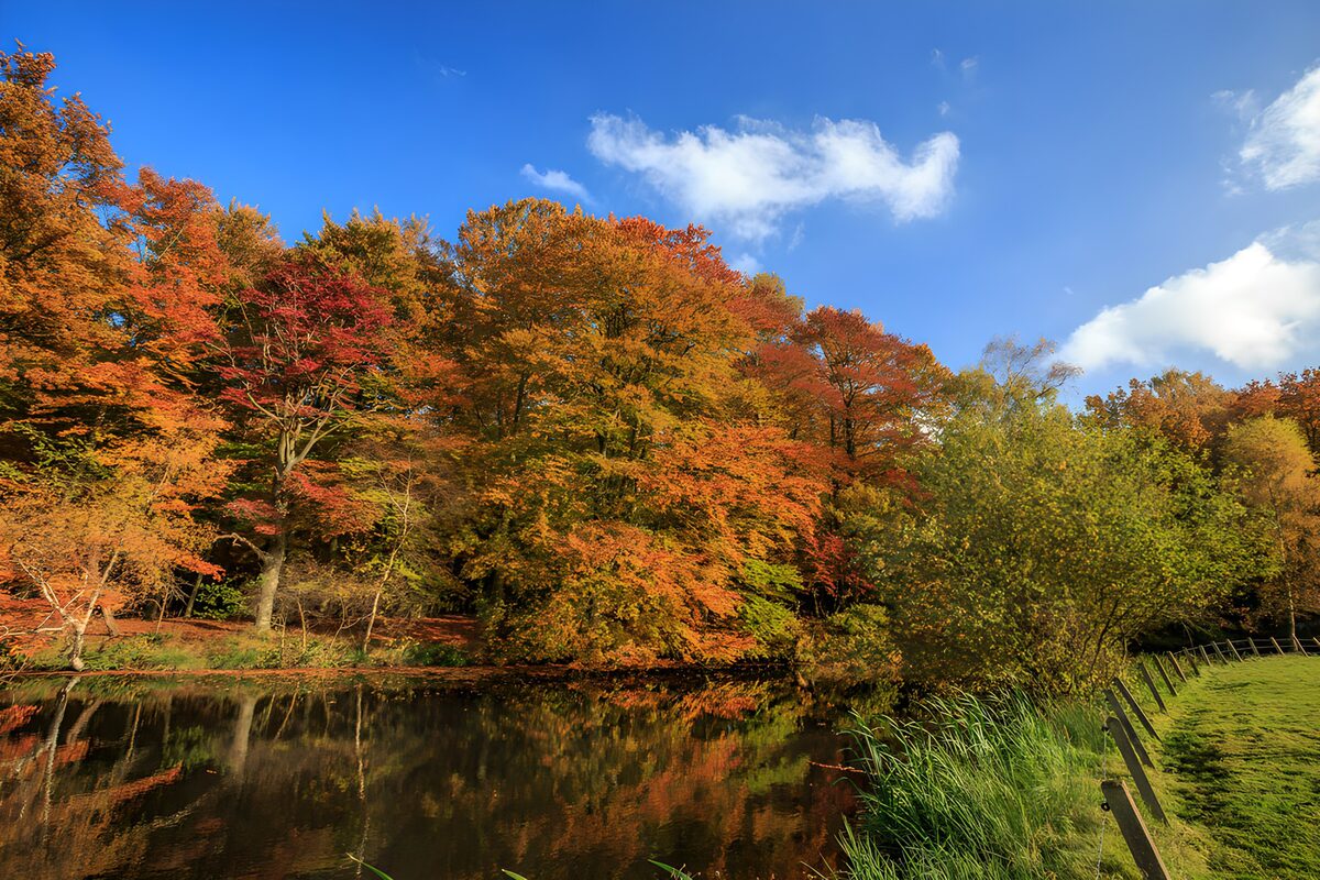 OCUK87746: Autumn Serenity by the Water