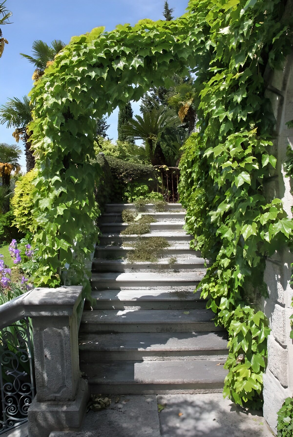 OCUK71619: Serene Garden Stairway