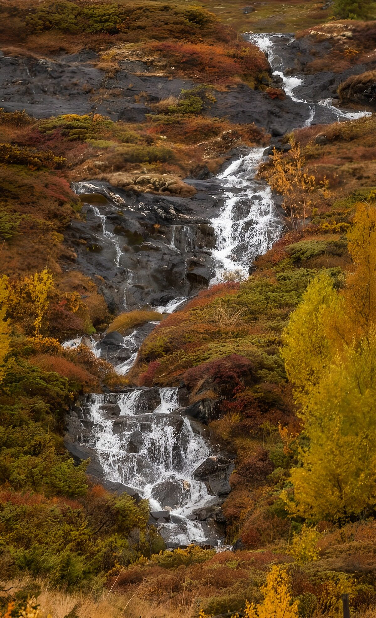 Autumn Waterfall Cascade