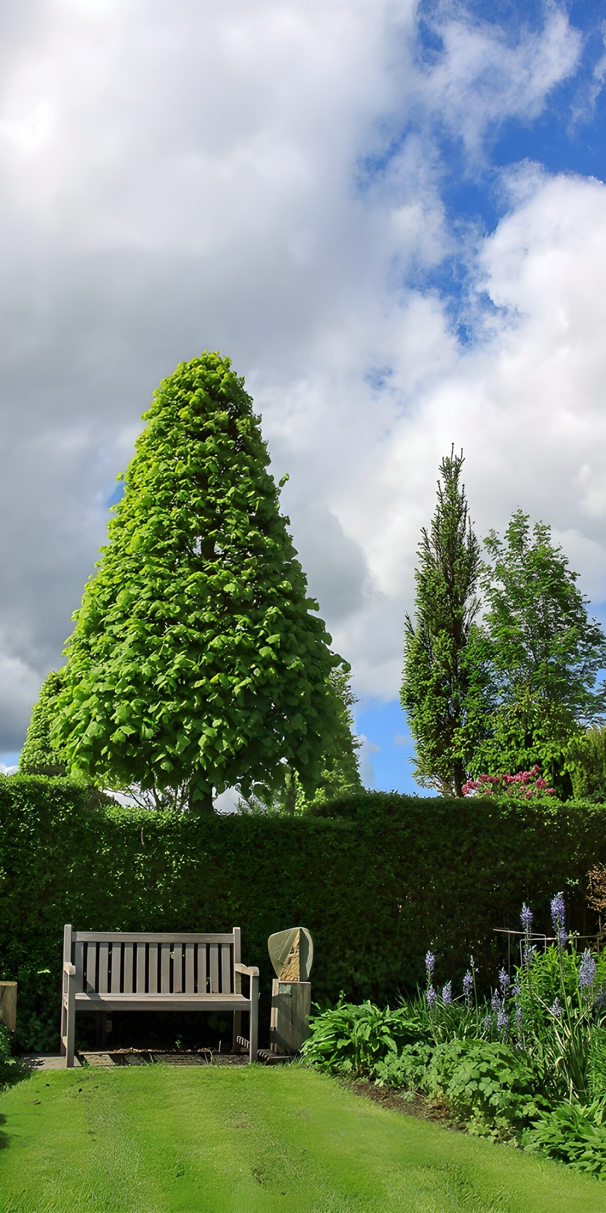 OCUK79359: Tranquil Garden Retreat