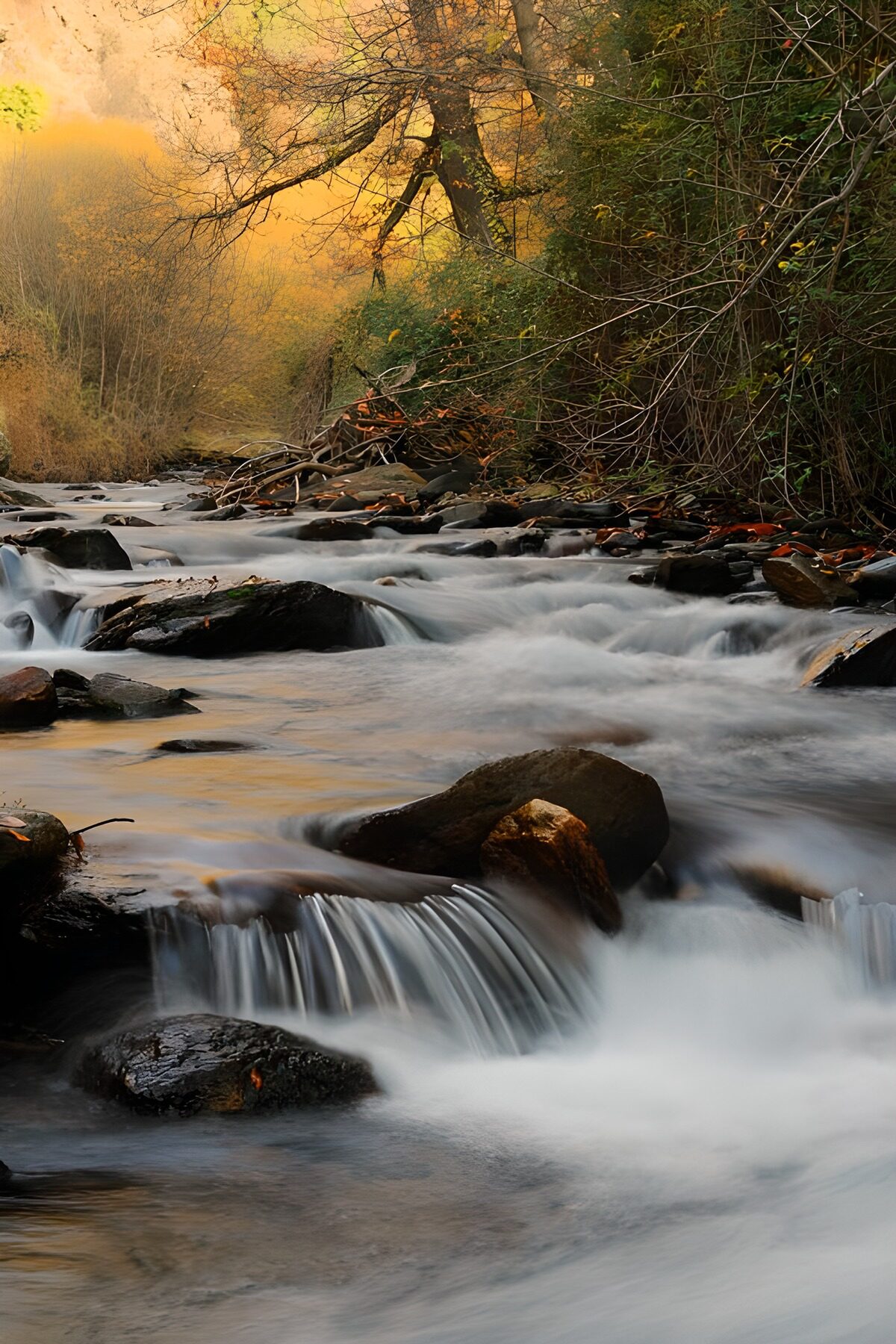 OCUK67617: Serene Stream in Autumn Splendor