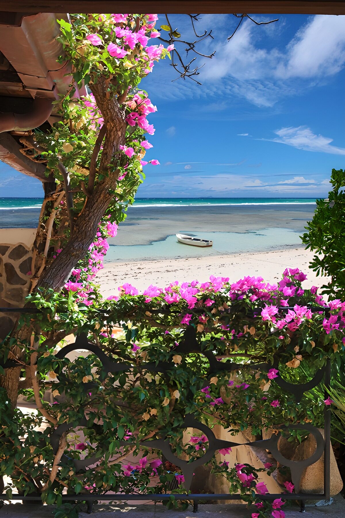 OCUK31765: Serene Coastal View with Bougainvillea