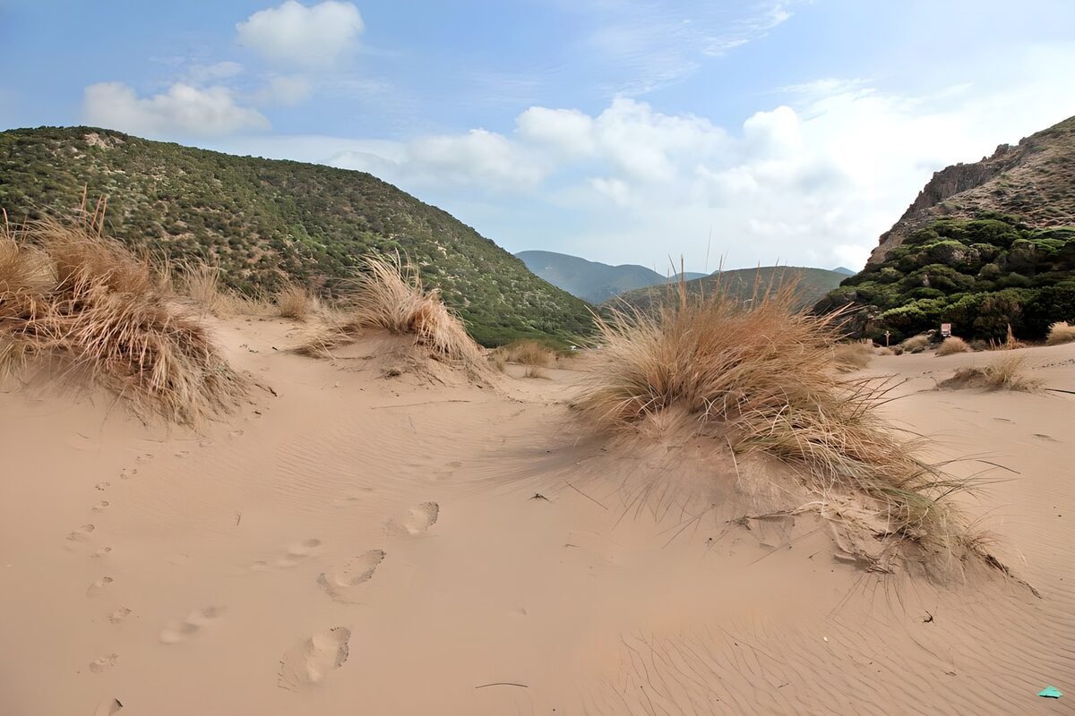 OCUK41271: Tranquil Desert Trail