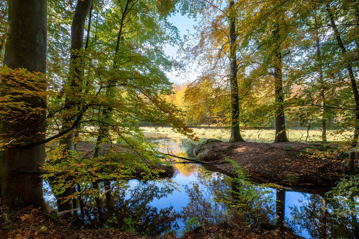 OCUK46205: Tranquil Autumn Reflections