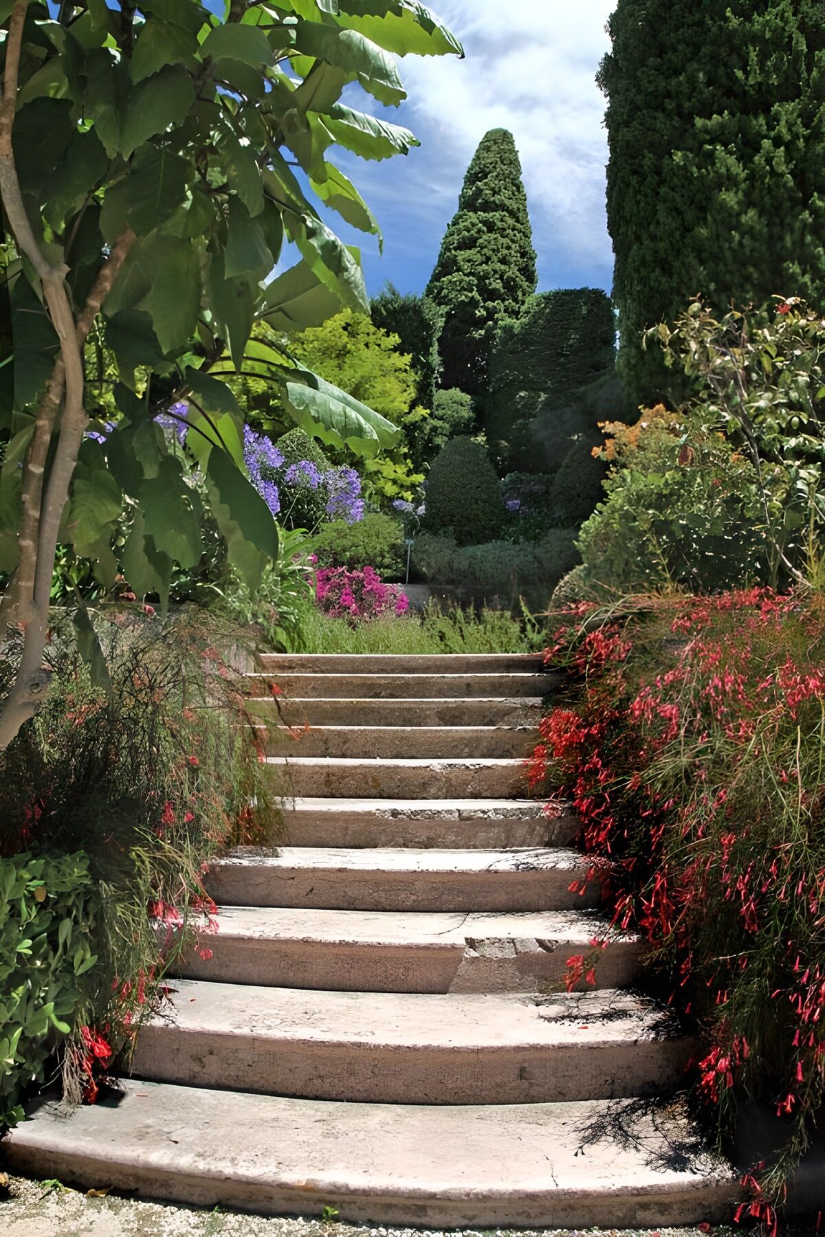 OCUK81129: Stone Steps Through a Lush Garden