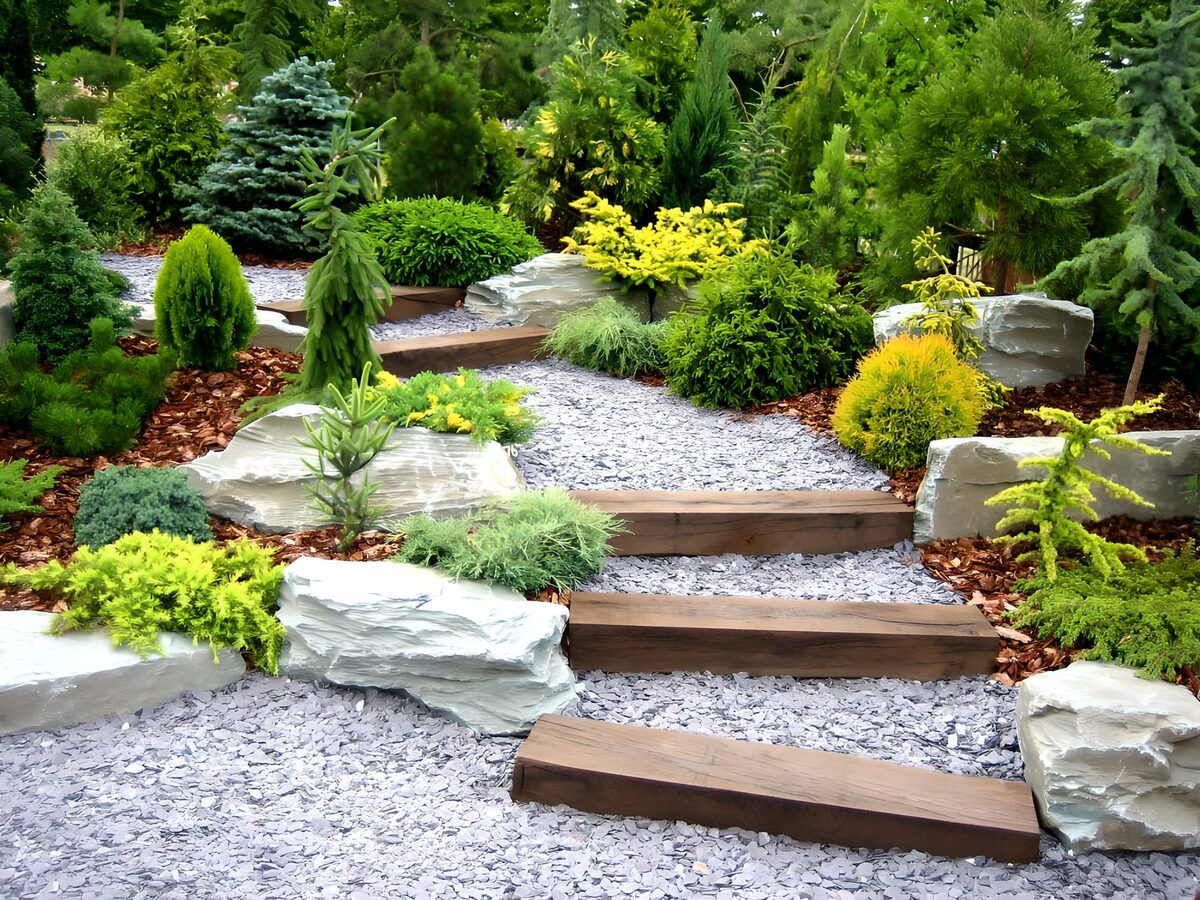 Garden with steps and various conifers