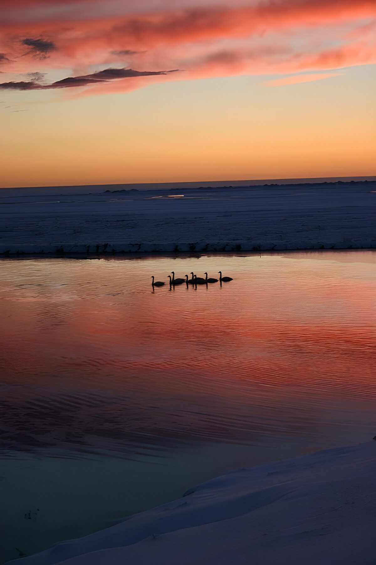 OCUK41562: Serenity at Sunset